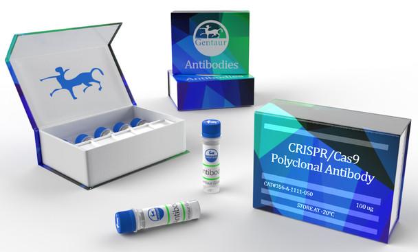 CRISPR/Cas9 Polyclonal Antibody | Gentaur