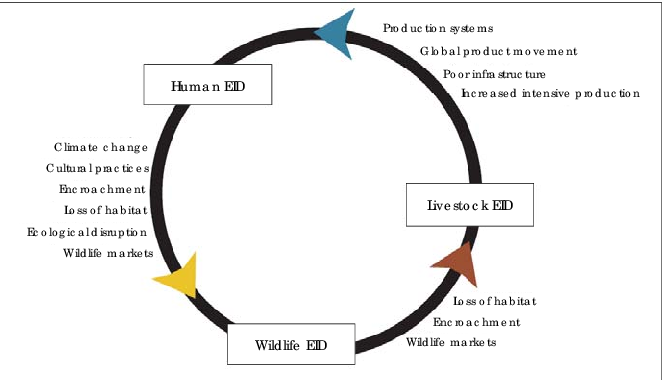 Factors contributing to disease emergence  
